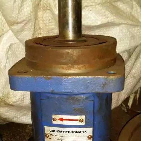 UCHIDA HYDROMATIK Hydraulic Fixed Displacement PUMP A2F250L5P2